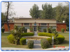 Medical College