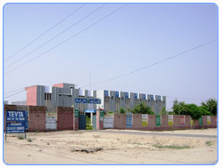 Govt College of Commerce Bhakkar