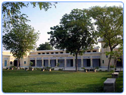 Punjab College