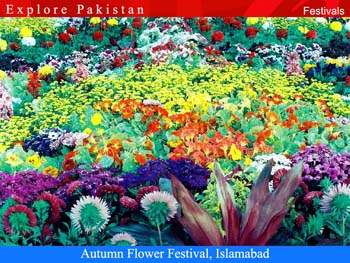 Festivals-Islamabad-Flowers