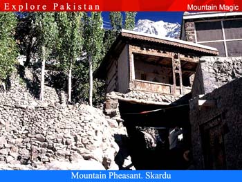 Mountain-Magic-Hunza-Karima