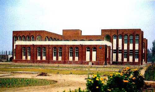Baha-ud-din Zakariya University2