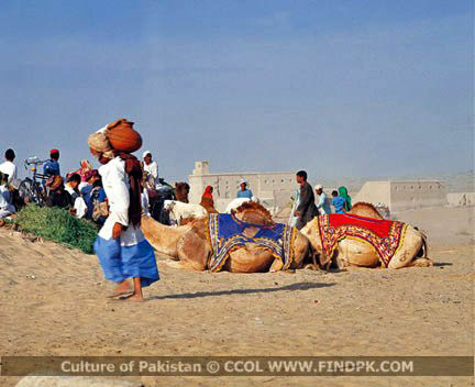 Culture of Pakistan (159)