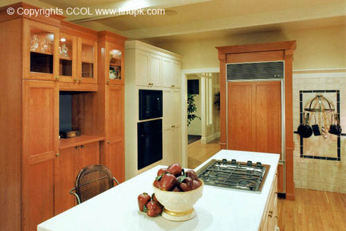 Kitchen-Interior-Design (103)
