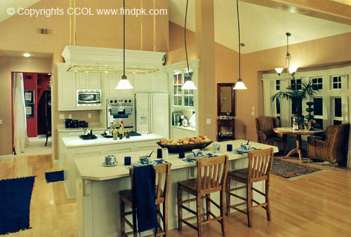 Kitchen-Interior-Design (301)