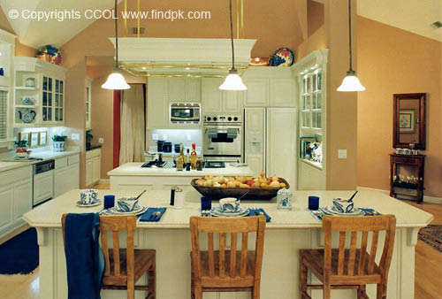 Kitchen-Interior-Design (303)