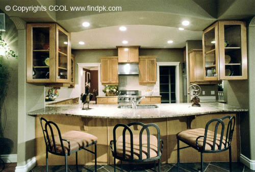 Kitchen-Interior-Design (98)