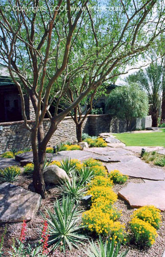 Landscaping-Design (60)