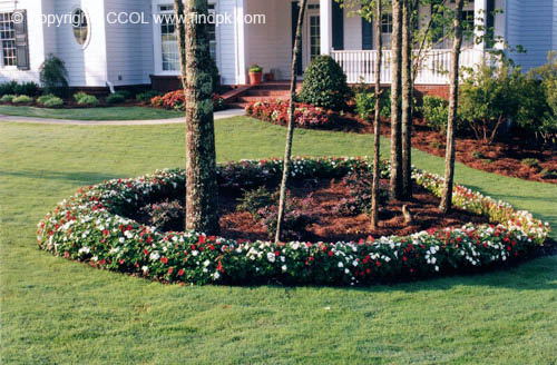 Landscaping-Design (7)