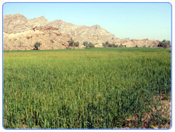 Dera Ghazi Khan