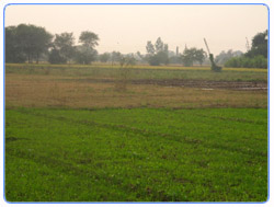 Gujrat