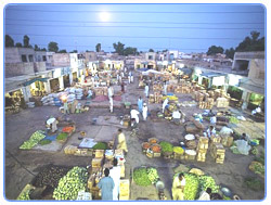 Layyah